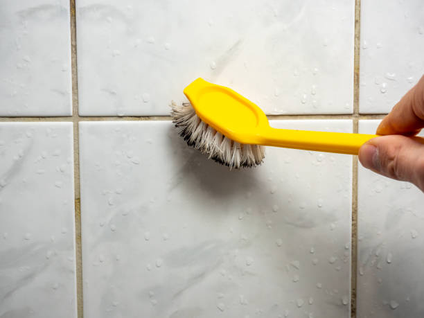 Sweetwater, TX Mold Remediation Company