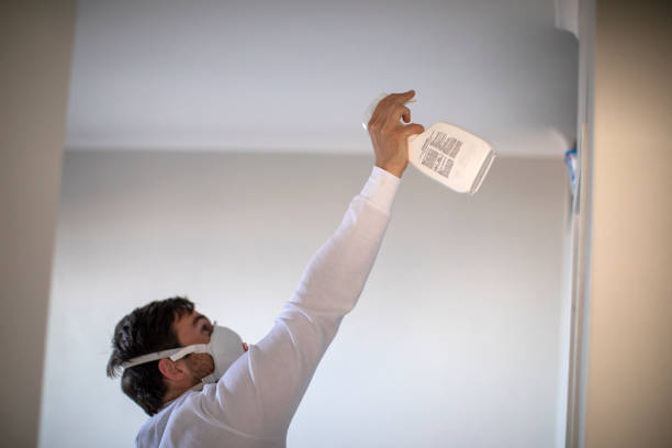 Best Commercial Mold Remediation in Sweetwater, TX