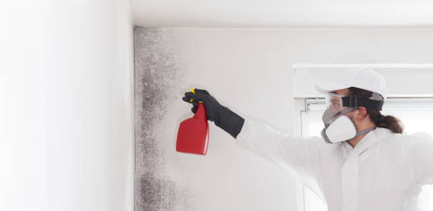 Best Emergency Mold Remediation in Sweetwater, TX
